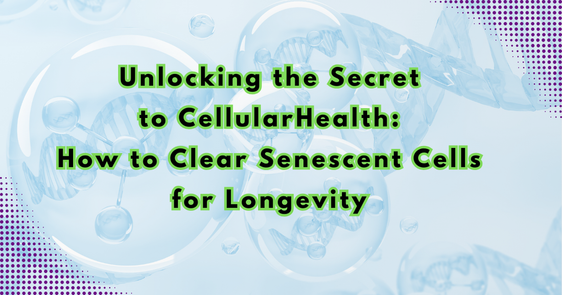 Unlocking the Secret to Cellular Health: How to Clear Senescent Cells for Longevity