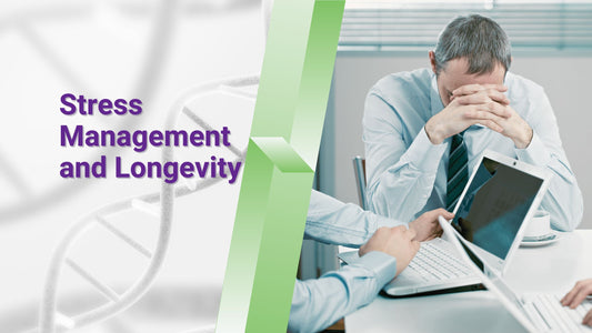How does stress affect your longevity of life?